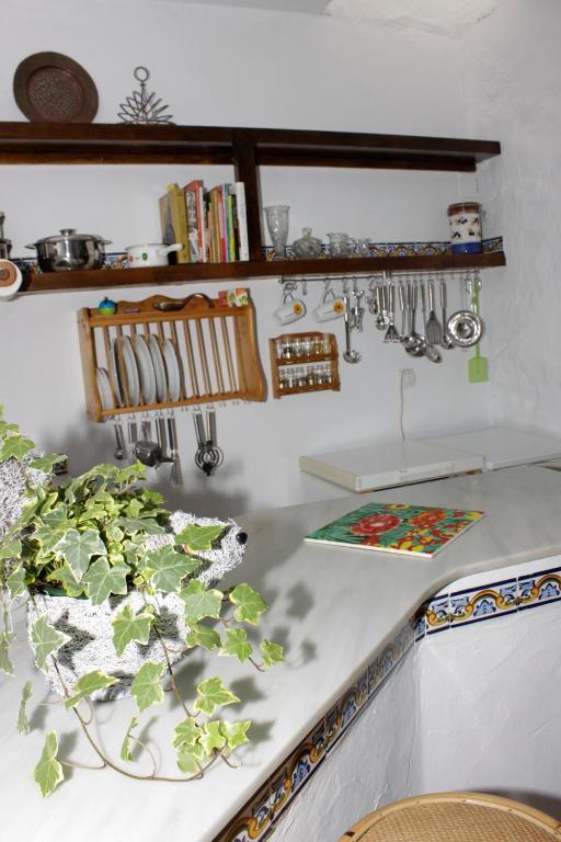 Villas Los Olivares - Deniasol Els Poblets Cameră foto